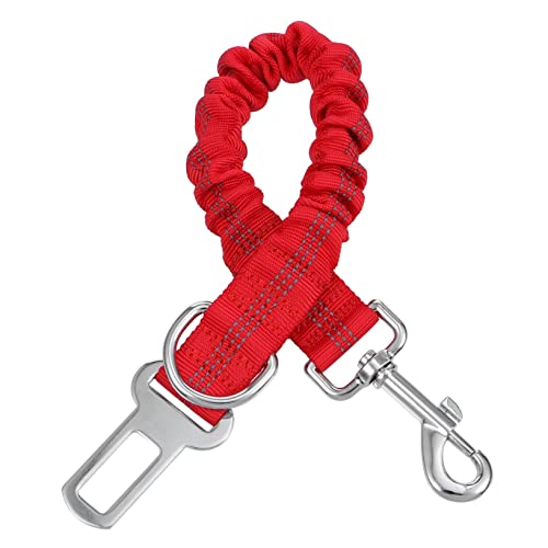 BESTonZON Haustierleine sicherungsgurt pet Supplies Haustierartikel trainingsleine Freilaufleine Ausbildung Hund klein Welpen reflektierendes Seil Haustierbedarf hoher elastischer Bund rot von BESTonZON