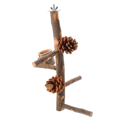 BESTonZON Holz Papageien Sitzstange mit Futterstation Trainings Kletterspielzeug für Wellensittiche und Kleine Vögel Multifunktionaler Vogelstand zum Klettern Knabbern und Ausruhen im Käfig BESTonZON Holz Papageien Sitzstange mit Futterstation Trainings Kletterspielzeug für Wellensittiche und Kleine Vögel Multifunktionaler Vogelstand zum Klettern Knabbern und Ausruhen im Käfig von BESTonZON
