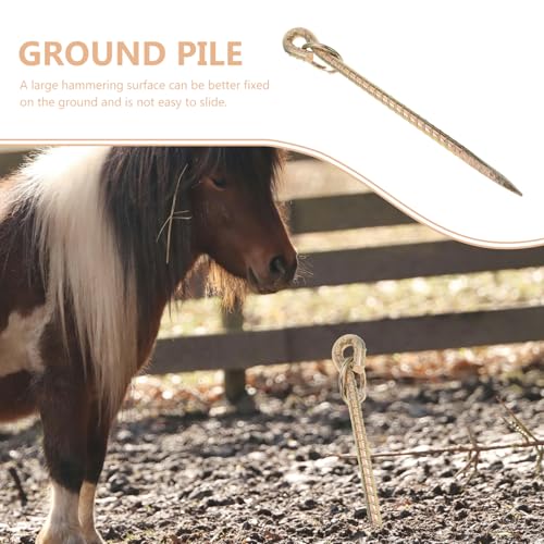 BESTonZON Hundebindepfahl für Große Hunde Robuster Bodenanker für Hundetraining Camping und Outdoor Aktivitäten BESTonZON Hundebindepfahl für Große Hunde Robuster Bodenanker für Hundetraining Camping und Outdoor Aktivitäten von BESTonZON