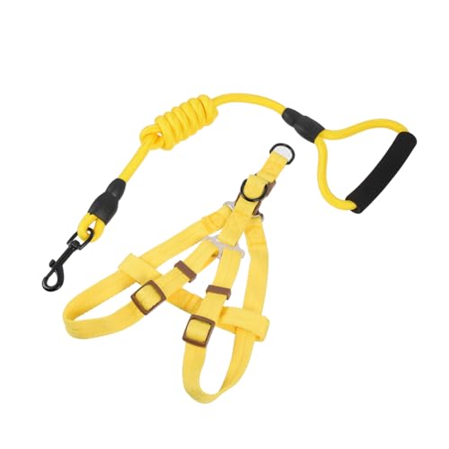 BESTonZON Hundegeschirr mit Leine Nylon Welpen Brustgeschirr Verstellbar Komfortabel für Spaziergänge Training Joggen für Kleine und Mittlere Hunde von BESTonZON