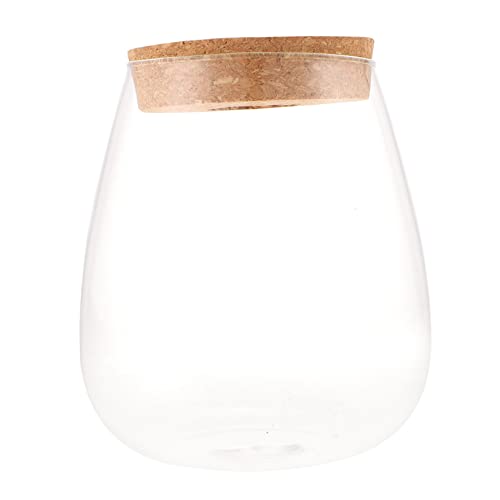 BESTonZON Hydroponische Pflanzenflasche Terrarium Glas Blumentopf Aus Glas Terrarium Behälter Hydroponische Kultur Glasflasche Blumen Terrarium Wasserblumen Behälter Holz von BESTonZON