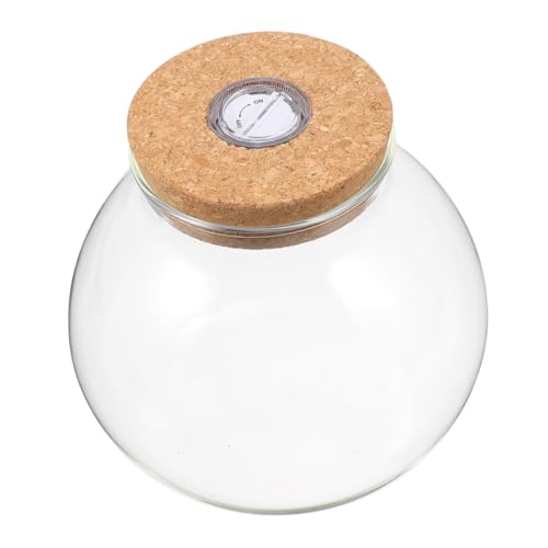 BESTonZON Hydroponisches Glasgefäß mit Licht und Korkdeckel Runde Pflanzstation Luftdichte Glasvase für Pflanzenvermehrung für Zimmerpflanzen und Dekoration von BESTonZON