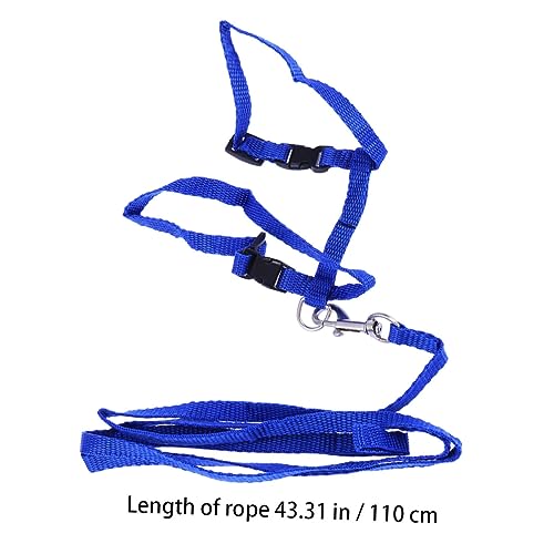 BESTonZON Katzen Geschirr Mit Leine Verstellbares Nylon Haustier Zubehör Für Katzen Sicheres Und Komfortables Für Outdoor Aktivitäten Für Kätzchen Und Katzen Aller von BESTonZON