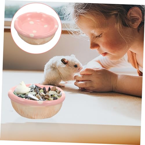 BESTonZON Keramik Kleintier Futternapf Kompakt rutschfest Hamster Futter Schale aus Keramik für Kaninchen Chinchilla Käfig Geeignet Langlebig Leicht zu Reinigen von BESTonZON