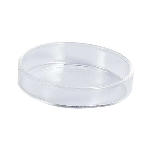 BESTonZON Klarglas Garnelen Futterschale Fütterungsschale aus Kristallglas für Aquarien und Terrarien Langlebig und Zuverlässig für Garnelenfütterung BESTonZON Klarglas Garnelen Futterschale Fütterungsschale aus Kristallglas für Aquarien und Terrarien Langlebig und Zuverlässig für Garnelenfütterung von BESTonZON