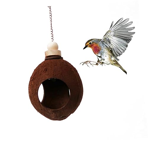 BESTonZON Kokosnuss Vogelhaus Für Natürlicher Nistplatz Und Futterspender Für Garten Und Terrasse Für Vogelbeobachtung Anlocken BESTonZON Kokosnuss Vogelhaus Für Natürlicher Nistplatz Und Futterspender Für Garten Und Terrasse Für Vogelbeobachtung Anlocken von BESTonZON