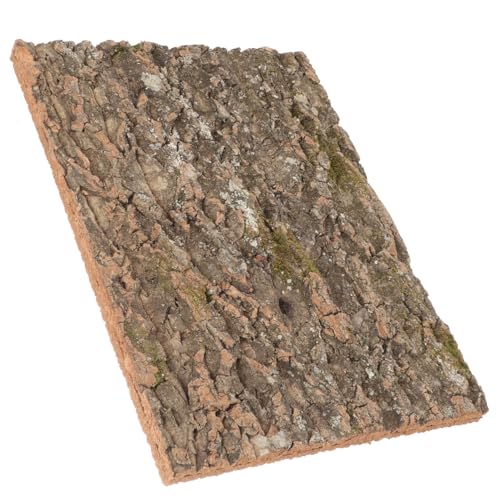 BESTonZON Korkrinde Deko Plattform für Reptilien Natürliche Kork für Terrarien Kletterwand und Zubehör für Schlangen Eidechsen und Schildkröten BESTonZON Korkrinde Deko Plattform für Reptilien Natürliche Kork für Terrarien Kletterwand und Zubehör für Schlangen Eidechsen und Schildkröten von BESTonZON
