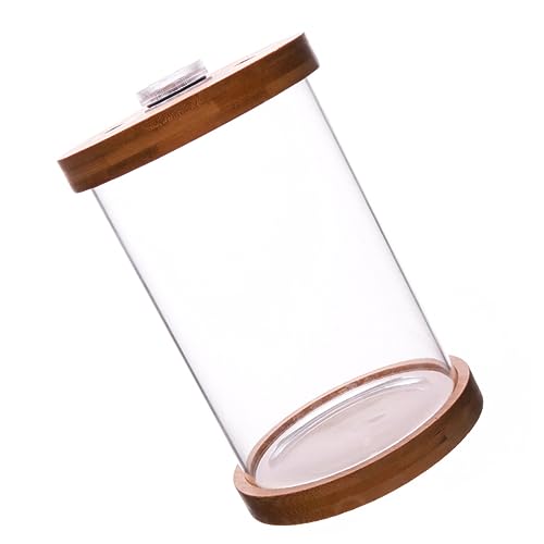 BESTonZON LED Beleuchteter Mini Fischbehälter mit Holzdeckel und Bambusbasis Dekoratives Kleines Aquarium für Schreibtisch Platzsparend aus Langlebigem Borosilikatglas für Kleine Fische und von BESTonZON