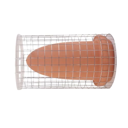 BESTonZON Laichkegel Für Aquarium Fisch-inkubator Tonkegel Brutfässer Für Angelfische Und Substratfische Zum Laichen Fischzuchteimer Für Kleine Zierfische BESTonZON Laichkegel Für Aquarium Fisch-inkubator Tonkegel Brutfässer Für Angelfische Und Substratfische Zum Laichen Fischzuchteimer Für Kleine Zierfische von BESTonZON