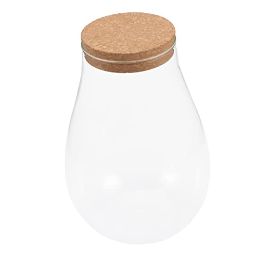 BESTonZON Moos Öko Flasche Terrarium Glas Landschafts Terrarium Gartenpflanzen Tank Dekorationen Terrarium Flasche Mikro Landschaft Ökologische Flasche Kleine Mini Zimmerpflanze BESTonZON Moos Öko Flasche Terrarium Glas Landschafts Terrarium Gartenpflanzen Tank Dekorationen Terrarium Flasche Mikro Landschaft Ökologische Flasche Kleine Mini Zimmerpflanze von BESTonZON