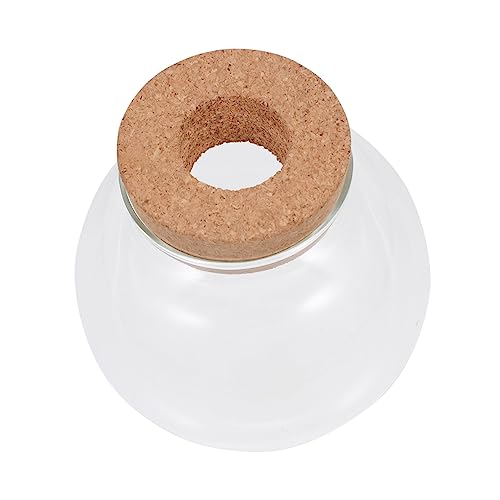 BESTonZON Moos Pflanzenflasche Kreative DIY Landschaftsflasche für Aquarien und Raumdekoration Vielseitig Einsetzbar für Schlafzimmer Wohnzimmer und Büro BESTonZON Moos Pflanzenflasche Kreative DIY Landschaftsflasche für Aquarien und Raumdekoration Vielseitig Einsetzbar für Schlafzimmer Wohnzimmer und Büro von BESTonZON
