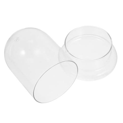 BESTonZON Landschaftsflasche Leere Moosflasche Glas-displaykuppel Für Pflanzengläser BESTonZON Landschaftsflasche Leere Moosflasche Glas-displaykuppel Für Pflanzengläser von BESTonZON