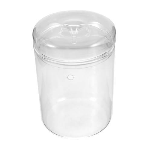BESTonZON Moss ökologische Vase Pflanzen Anlage Ökologische Glasflasche Mikro-Landschaftsflasche Mikro-Landschaftspflanzerflasche leeres Terrarium Glasterrarium mit Deckel von BESTonZON