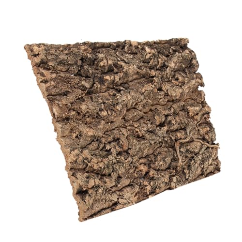 BESTonZON Natürliche Baumrinde für Terrarium Reptilien Klettern und Sonnenplatz Dekoration Vielseitig für Eidechsen Schlangen Spinnen Habitat Pflegeleicht von BESTonZON