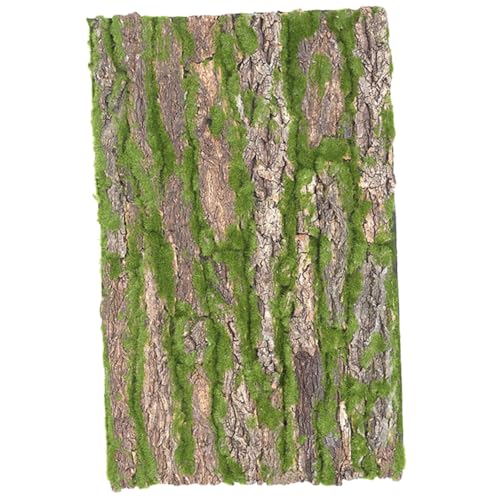 BESTonZON Natürliche Korkrinde Terrarium Dekoration Reptilien Kletterplattform Bark Habitat für Echsen Spinnen und Reptilien Zubehör von BESTonZON