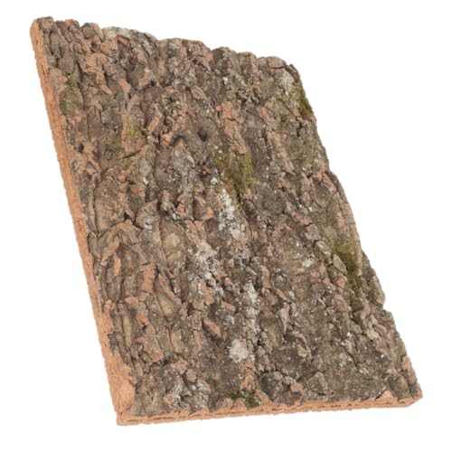 BESTonZON Natürlicher Kork Terrarium Hintergrund mit Unregelmäßiger Baumrindenstruktur Lebensechte Kletterplattform für Reptilien und Schildkröten Dekoratives Terrarien und Aquarium von BESTonZON