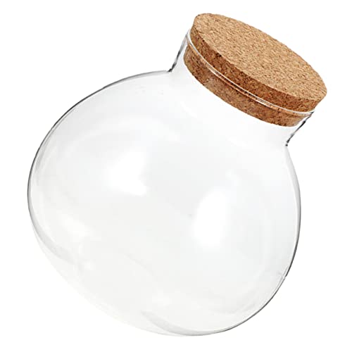 BESTonZON Öko Flasche Kleine Gläser Mit Korkdeckel Mikro Landschafts Flaschenpflanzgefäße Moos Terrarium Kleines Glas Mit Deckel Pflanzgefäß Selbstbewässernde Pflanzenschale Mit BESTonZON Öko Flasche Kleine Gläser Mit Korkdeckel Mikro Landschafts Flaschenpflanzgefäße Moos Terrarium Kleines Glas Mit Deckel Pflanzgefäß Selbstbewässernde Pflanzenschale Mit von BESTonZON