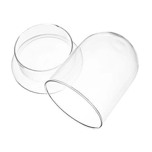 BESTonZON Ökologische Flasche Moss Glockenkuppel Für Pflanzen Outdoor- Gartenglockenkuppel Gewölbt Miniatur Terrarienflasche Pflanzenglockenkuppel Moosglas Borosilikatglas Transparent BESTonZON Ökologische Flasche Moss Glockenkuppel Für Pflanzen Outdoor- Gartenglockenkuppel Gewölbt Miniatur Terrarienflasche Pflanzenglockenkuppel Moosglas Borosilikatglas Transparent von BESTonZON