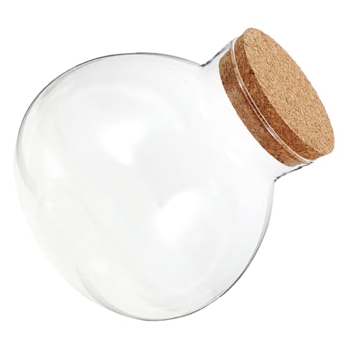 BESTonZON Ökologische Mikrolandschaftsflasche Terrarium Mit Deckel Ökologische Flasche Selber Machen Klares Sphere -terrarium Ökosystemflasche Flasche Mit Mikrolandschaft Transparent Glas von BESTonZON