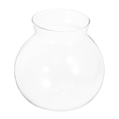 BESTonZON Ökologische Mikrolandschaftsflasche kleines Aquarium-Kit Mini Anlage Tank Fisch Pflanzen Decke transparentes Betta-Becken vas Krug Glas mit hohem Borosilikatgehalt BESTonZON Ökologische Mikrolandschaftsflasche kleines Aquarium-Kit Mini Anlage Tank Fisch Pflanzen Decke transparentes Betta-Becken vas Krug Glas mit hohem Borosilikatgehalt von BESTonZON