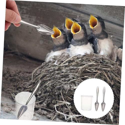 BESTonZON Papageien Futterschaufel Teiliges mit Futterlöffeln und Messbecher aus Robustem Metall Multifunktional für Milch Wasser Futter Handliche Fütterungslösung für Kleine Vögel und von BESTonZON