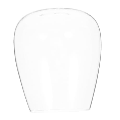 BESTonZON Pflanzen-Mikrolandschaftsflasche Pflanzenterrarium Glasvase Glasterrarien für Pflanzen Gla -Terrarium Terrarienmoos Glas mit hohem Borosilikatgehalt Transparent BESTonZON Pflanzen-Mikrolandschaftsflasche Pflanzenterrarium Glasvase Glasterrarien für Pflanzen Gla -Terrarium Terrarienmoos Glas mit hohem Borosilikatgehalt Transparent von BESTonZON