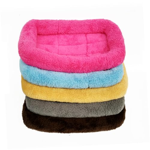 BESTonZON Plüsch Haustierbett Für Katzen Gemütliches Winternest Abnehmbar Reinigen Für Kleine Haustiere Kuschelige Für Optimalen BESTonZON Plüsch Haustierbett Für Katzen Gemütliches Winternest Abnehmbar Reinigen Für Kleine Haustiere Kuschelige Für Optimalen von BESTonZON