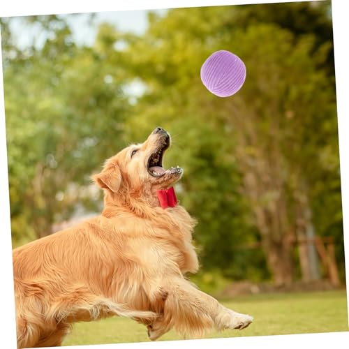 BESTonZON Plüsch Hundespielzeug Ball zum Kauen für Kleine Hunde Weicher Gefüllter Quietschball Interaktives Trainingsspielzeug zur Beschäftigung und Zahnpflege Leicht und Langlebig von BESTonZON