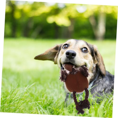 BESTonZON Plüsch Vogelförmiges Hundespielzeug Beißecht und Zahnstärkend Leicht zu Reinigen Für Welpen Kleine bis Große Hunde Strapazierfähiges Kau und Molaren von BESTonZON