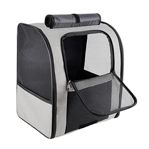 BESTonZON Praktischer Katzen Tragerucksack mit Atmungsaktivem Netz Großer Kapazität Leichtem und Tragbarem Design für Reisen Camping und Ausflüge mit Katzen und Kleinen Haustieren Klein BESTonZON Praktischer Katzen Tragerucksack mit Atmungsaktivem Netz Großer Kapazität Leichtem und Tragbarem Design für Reisen Camping und Ausflüge mit Katzen und Kleinen Haustieren Klein von BESTonZON