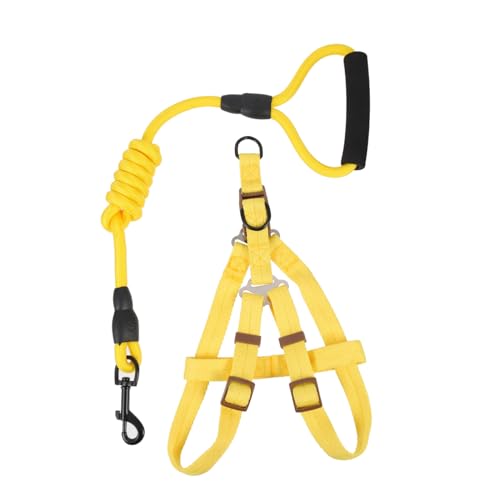 BESTonZON Puppy Harness mit Verstellbarem Hautfreundlichem Brustgeschirr und Nylon führleine für Große Hunde Komfortabel Langlebig zum Training und Sicheren Spaziergang von BESTonZON