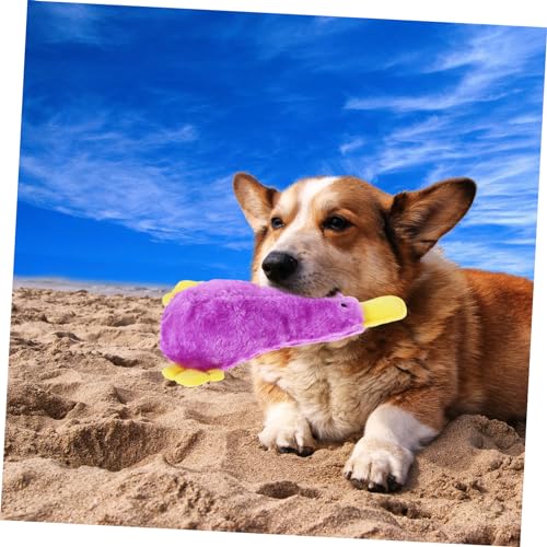 BESTonZON Quietschendes Hundespielzeug Ente Plüsch Kauspielzeug Interaktiv für Kleine Große Hunde Strapazierfähiges Sicheres Material Fördert Zahnpflege und Spielerische Beschäftigung von BESTonZON