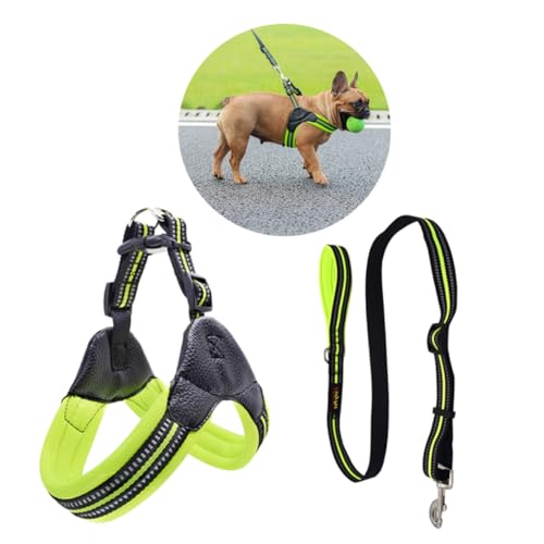 BESTonZON Reflektierendes Atmungsaktives Hundegeschirr aus Nylon mit Verstellbarem Brustgurt und Leine Bequem für Mittelgroße Hunde Fruchtgrün Muster für Tägliches Laufen und Spaziergänge von BESTonZON