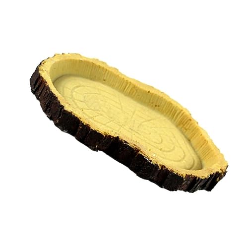 BESTonZON Reptilien Futterschale aus Korrosionsbeständigem Material mit Design für Schildkröten und Echsen Terrarium Einfache Fütterung BESTonZON Reptilien Futterschale aus Korrosionsbeständigem Material mit Design für Schildkröten und Echsen Terrarium Einfache Fütterung von BESTonZON