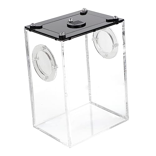 BESTonZON Reptilienbox Für Haltung Und Zucht Transparente Terrarienbox Für Echsen Chamäleons Spinnen Und Insekten Sicht Lebensraum Für Reptilien Und Kleine von BESTonZON