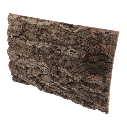 BESTonZON Rinden Dekorationsbrett Terrarium Vogelspinnen Zubehör Korkrindenplatten Reptilien Kletterdekor Vogelspinnen Gehege Reptilien Holz Für Fischtanks Klettergecko von BESTonZON