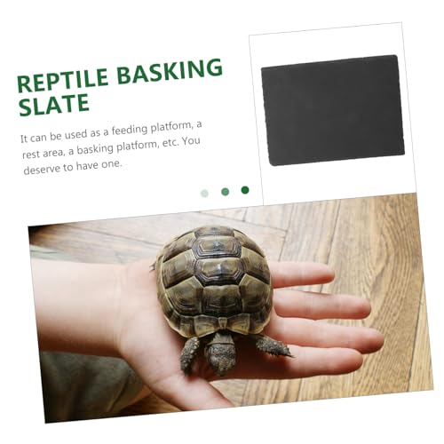 BESTonZON Schiefer Schildkrötenplattform Natürliche Reptilien Basking Plattform für Aquarium und Terrarium rutschfeste Kletterhilfe für Kleine Schildkröten und Wasserschildkröten Langlebig BESTonZON Schiefer Schildkrötenplattform Natürliche Reptilien Basking Plattform für Aquarium und Terrarium rutschfeste Kletterhilfe für Kleine Schildkröten und Wasserschildkröten Langlebig von BESTonZON