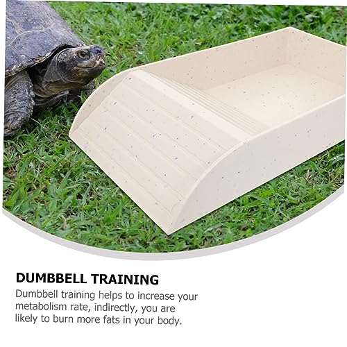BESTonZON Schildkröten Badeplattform und Futternapf aus Kunststoff Multifunktionale Rampe und Wasserschale für Terrarien Geeignet als Sonnenplatz und Ruhebereich für Schildkröten und BESTonZON Schildkröten Badeplattform und Futternapf aus Kunststoff Multifunktionale Rampe und Wasserschale für Terrarien Geeignet als Sonnenplatz und Ruhebereich für Schildkröten und von BESTonZON