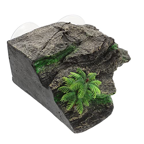 BESTonZON Schildkrötenplattform Für Aquarium Basking Dock Aus Harz Große Kletterstufe Für Schildkröten Dekorative Wasserlandschaft Für Terrarien Und Aquarien von BESTonZON
