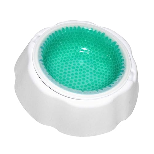 BESTonZON Sommerliche Haustier Trinkschale Kühlfunktion Langlebig Wasserschale für Katzen und Hunde Kühlschüssel für Frisches Wasser und Futter Bpa Frei Robust Haustiernapf Grün BESTonZON Sommerliche Haustier Trinkschale Kühlfunktion Langlebig Wasserschale für Katzen und Hunde Kühlschüssel für Frisches Wasser und Futter Bpa Frei Robust Haustiernapf Grün von BESTonZON