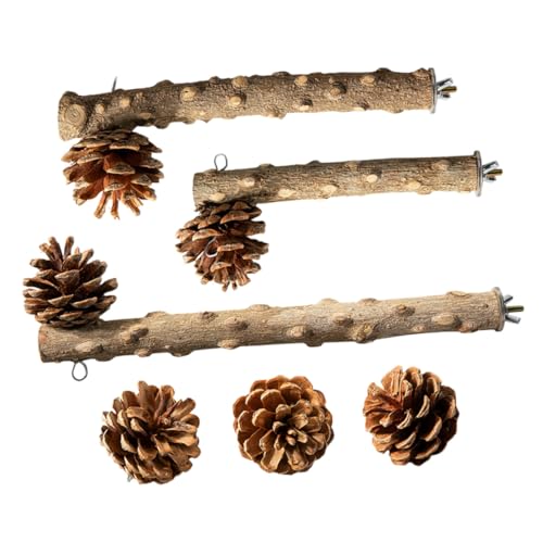 BESTonZON Teiliges Set Vogelkäfig Sitzstangen aus Natürlichem Holz mit Kiefernzapfen Dekoration Verschleißfest für Wellensittiche Papageien und Andere Haustier Vögel zur Beschäftigung und BESTonZON Teiliges Set Vogelkäfig Sitzstangen aus Natürlichem Holz mit Kiefernzapfen Dekoration Verschleißfest für Wellensittiche Papageien und Andere Haustier Vögel zur Beschäftigung und von BESTonZON