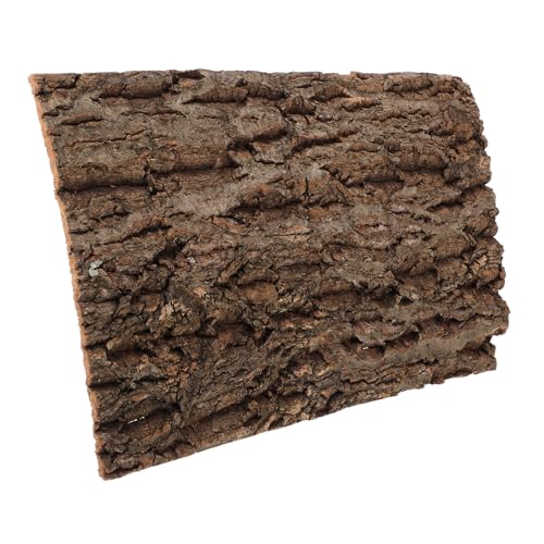 BESTonZON Terrarium Korkrinden Hintergrundplatte für Reptilien Natürliche Kork Dekoration für Terrarien Aquarium und für Eidechsen und Geckos BESTonZON Terrarium Korkrinden Hintergrundplatte für Reptilien Natürliche Kork Dekoration für Terrarien Aquarium und für Eidechsen und Geckos von BESTonZON