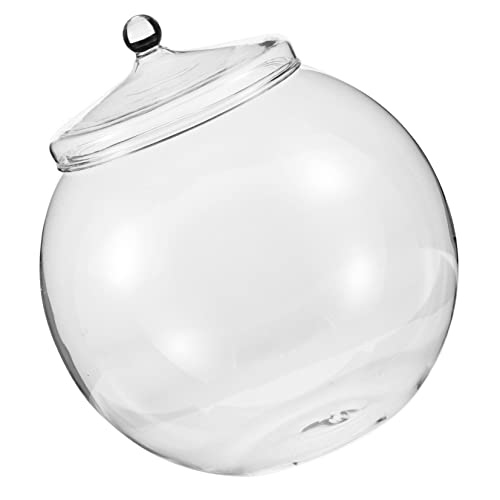 BESTonZON Terrarium mit DIY Moos Ökologie Flasche für Landschaftsdesign Tischdekoration und Langlebig für Pflanzenliebhaber von BESTonZON