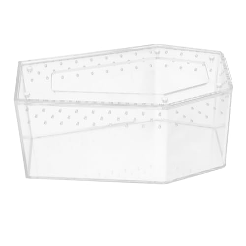 BESTonZON Transparente Futterbox für Reptilien Schildkröten Geckos Stabiles Terrarium mit Sicherem Deckel Vielseitiges Kleintierhabitat für Spinnen Echsen und von BESTonZON