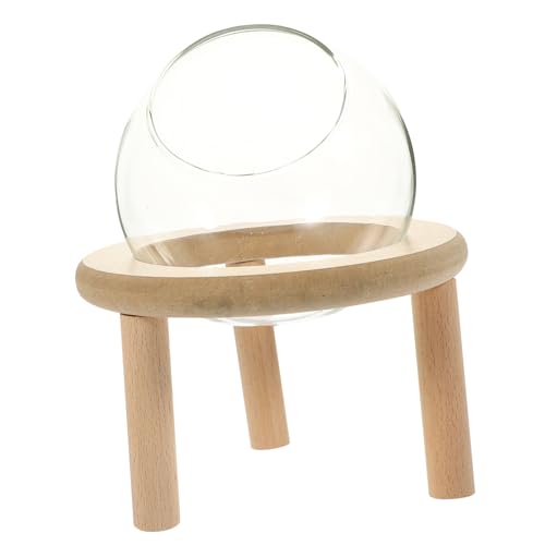 BESTonZON Transparente Kleine Hamster badewanne aus Robustem Material Kompakter Haustier badebehälter für Hamster und Chinchilla Vielseitig als Sandbox Futterstelle und Toilette Geeignet von BESTonZON