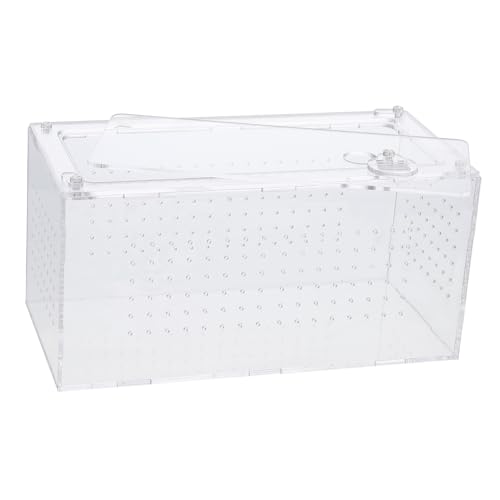 BESTonZON Transparente Reptilien Aufzuchtbox aus mit Belüftungslöchern Robuste Premium Futter und Terrarienbox für Schlangen Geckos Spinnen Frösche und Kleine Reptilien Ausbruchsicher von BESTonZON