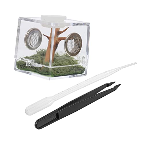 BESTonZON Transparente Reptilien Fütterungsbox Zuchtbox für Springspinnen und Insekten Pet Feeding Case mit Belüftungslöchern und Bruchsicherem Design BESTonZON Transparente Reptilien Fütterungsbox Zuchtbox für Springspinnen und Insekten Pet Feeding Case mit Belüftungslöchern und Bruchsicherem Design von BESTonZON
