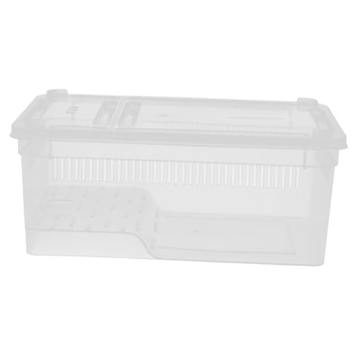 BESTonZON Transparente Reptilien Futterbox aus Robustem Kunststoff Leicht zu Reinigen Vielseitig Einsetzbar für Eidechsen Schlangen Frösche und Schildkröten als Terrarien Überwinterungsbox BESTonZON Transparente Reptilien Futterbox aus Robustem Kunststoff Leicht zu Reinigen Vielseitig Einsetzbar für Eidechsen Schlangen Frösche und Schildkröten als Terrarien Überwinterungsbox von BESTonZON