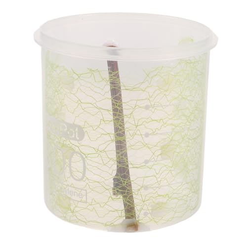BESTonZON Transparente Terrarium Zuchtbox für Afrikanische Gottesanbeterin Robustes Kunststoff Insektengehege mit Deckel Jumping Spider Habitat für Einfache Pflege und Beobachtung BESTonZON Transparente Terrarium Zuchtbox für Afrikanische Gottesanbeterin Robustes Kunststoff Insektengehege mit Deckel Jumping Spider Habitat für Einfache Pflege und Beobachtung von BESTonZON