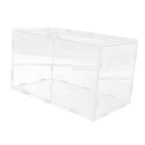 BESTonZON Transparentes Terrarium aus Robustem Multifunktionale Reptilien Aufzuchtbox für Schlangen Geckos Spinnen und Schnecken Geruchloser Stabiler Futter und Transportbehälter BESTonZON Transparentes Terrarium aus Robustem Multifunktionale Reptilien Aufzuchtbox für Schlangen Geckos Spinnen und Schnecken Geruchloser Stabiler Futter und Transportbehälter von BESTonZON